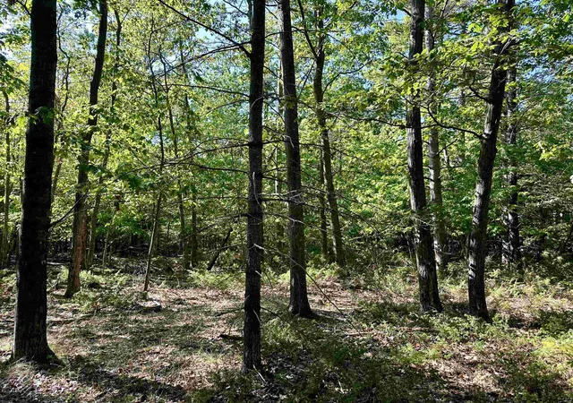 5th image of Tbd Kings Hwy, St James Township Charlevoix, MI 49782 | MLS# 78080068674