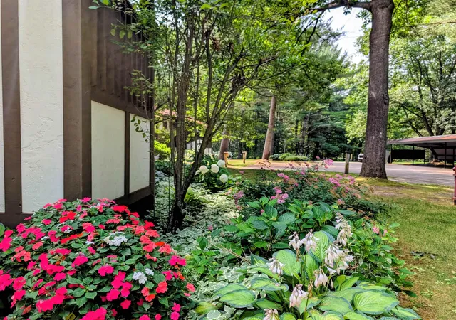 2nd image of 6865 Pinebrook Dr, Bellaire, MI 49615 | MLS# 78080068767