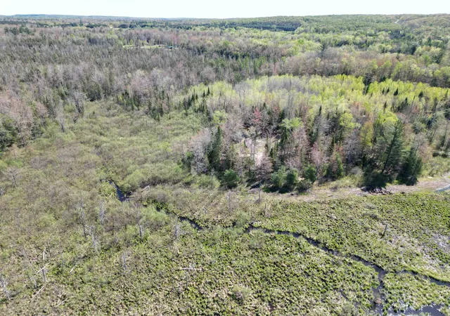 39th image of 000 Lund Road, Sw, Fife Lake, MI 49633 | MLS# 78080068781
