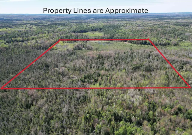 4th image of 000 Lund Road, Sw, Fife Lake, MI 49633 | MLS# 78080068781