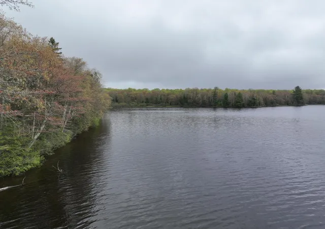 Photo 3 of Land for sale at Vl 349a Elizabeth Ln, Unknown Out Of State, MI 49935 | MLS# 78080068791 | Listing updated on 2026-05-29