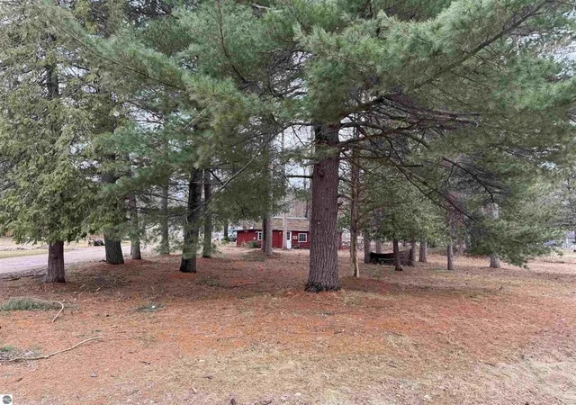 2nd image of 3105 N 3 1/4 Rd, Mesick, MI 49668 | MLS# 78080068818
