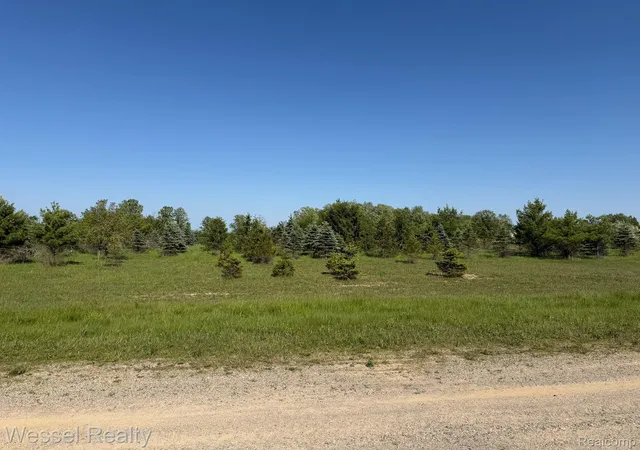 Land for sale at 0 Windmill Ln, ImlayTownship_Lapeer, MI 48444 | MLS# 20261038365
