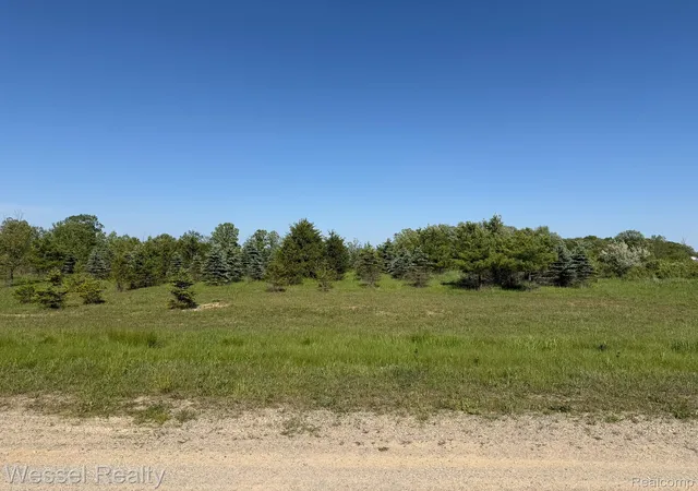 Photo 2 of Land for sale at 0 Windmill Ln, Imlay Township Lapeer, MI 48444 | MLS# 20261038365 | Listing updated on 2026-06-09