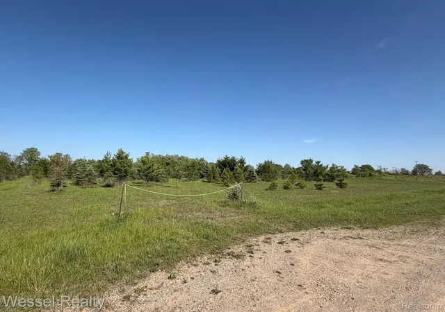 Photo 3 of Land for sale at 0 Windmill Ln, Imlay Township Lapeer, MI 48444 | MLS# 20261038365 | Listing updated on 2026-06-09