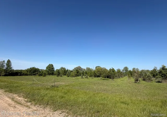 Photo 3 of Land for sale at 0 Windmill Ln, Imlay Township Lapeer, MI 48444 | MLS# 20261038365 | Listing updated on 2026-06-09