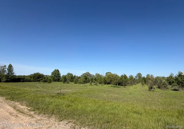 Photo 4 of Land for sale at 0 Windmill Ln, Imlay Township Lapeer, MI 48444 | MLS# 20261038365 | Listing updated on 2026-06-09