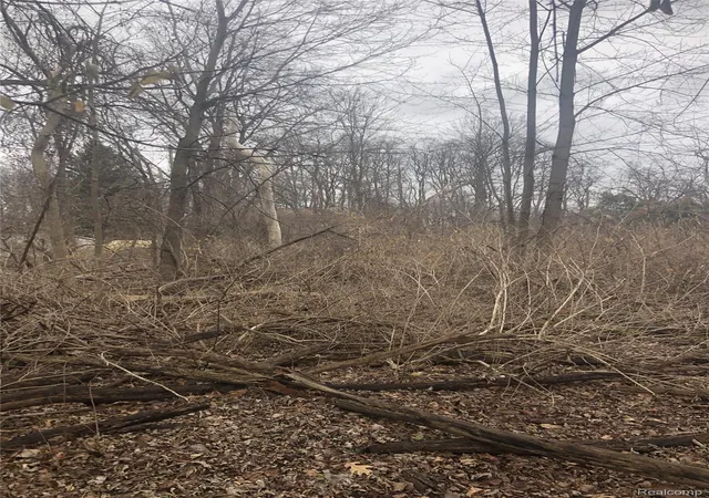 Photo 3 of Land for sale at 0 Massena Ave, Commerce Charter Township Oakland, MI 48382 | MLS# 20261038448 | Listing updated on 2026-08-19