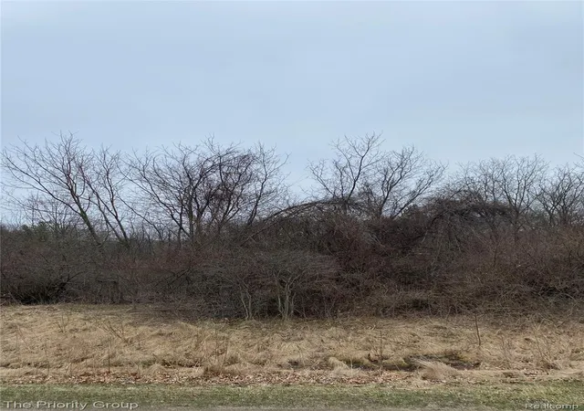 2nd image of 160 Great Pines Dr, Oxford, MI 48371 | MLS# 20261038557