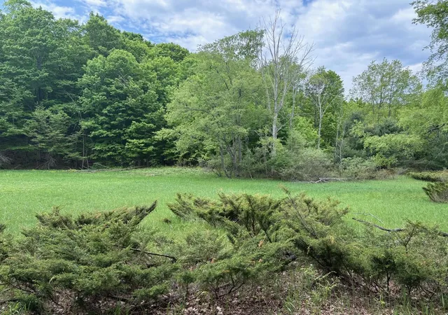 1st image of 13631 S Beaver Pond Rd, Empire, MI 49630 | MLS# 78080068898