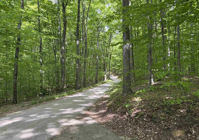 2nd image of 13631 S Beaver Pond Rd, Empire, MI 49630 | MLS# 78080068898