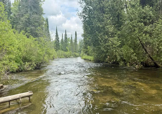 17th image of Tbd Old State Rd, East Jordan, MI 49727 | MLS# 78080068899