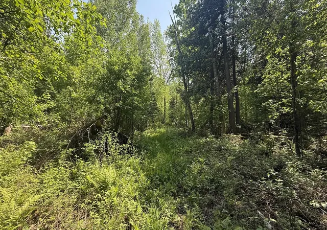 5th image of Tbd Old State Rd, East Jordan, MI 49727 | MLS# 78080068899