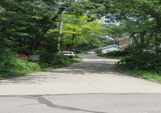 4th image of 6000 Rays Dr, Onsted, MI 49265 | MLS# 56050209306