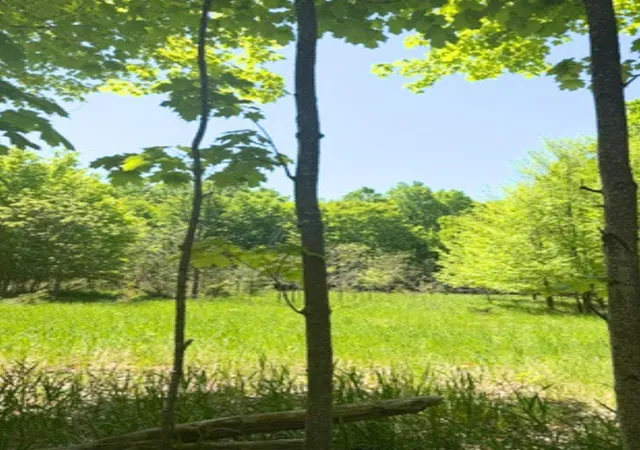 Photo 1 of Land for sale at Vl Loomis Rd, Eveline Township Charlevoix, MI 49727 | MLS# 78080068924 | Listing updated on 2026-06-01