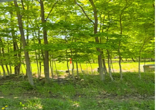 Photo 2 of Land for sale at Vl Loomis Rd, Eveline Township Charlevoix, MI 49727 | MLS# 78080068924 | Listing updated on 2026-06-01