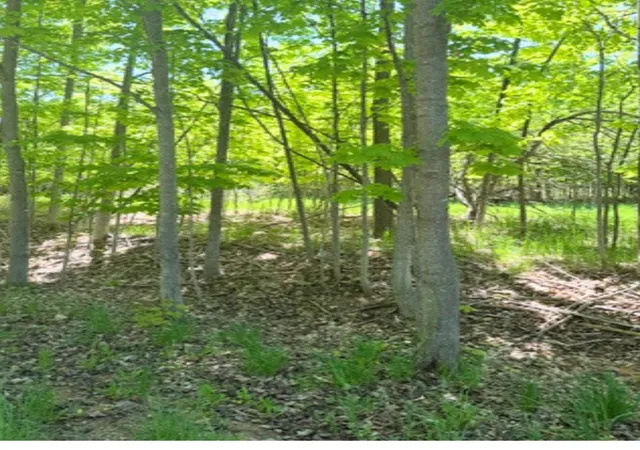 Photo 3 of Land for sale at Vl Loomis Rd, Eveline Township Charlevoix, MI 49727 | MLS# 78080068924 | Listing updated on 2026-06-01