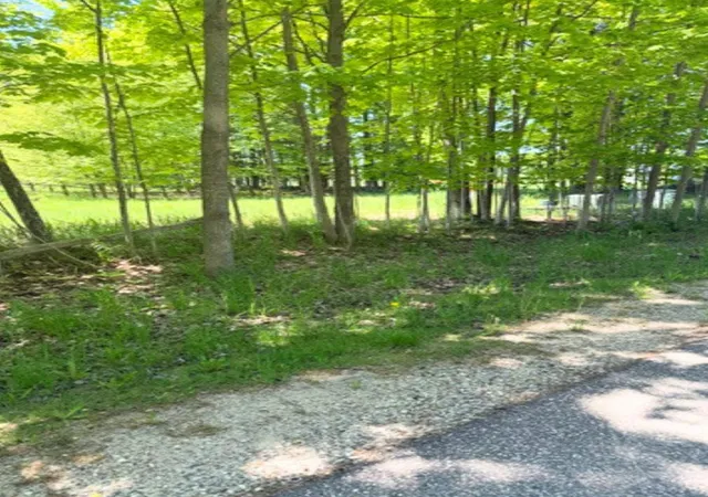 Photo 3 of Land for sale at Vl Loomis Rd, Eveline Township Charlevoix, MI 49727 | MLS# 78080068924 | Listing updated on 2026-06-01