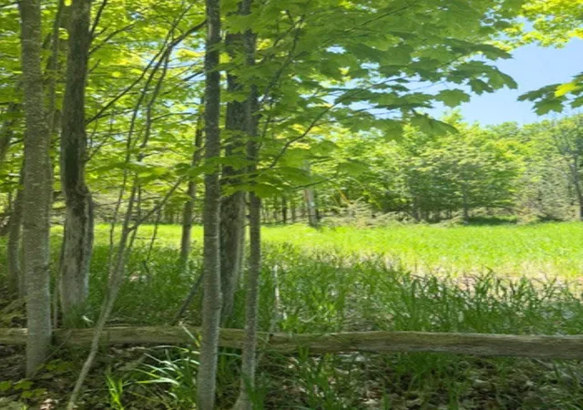 Photo 4 of Land for sale at Vl Loomis Rd, Eveline Township Charlevoix, MI 49727 | MLS# 78080068924 | Listing updated on 2026-06-01