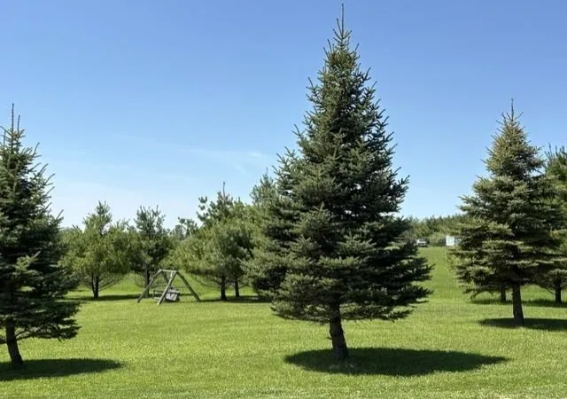 Photo 3 of Single family home for sale at 900 Providence Way, West Branch, MI 48661 | MLS# 77080068926 | Listing updated on 2026-05-29