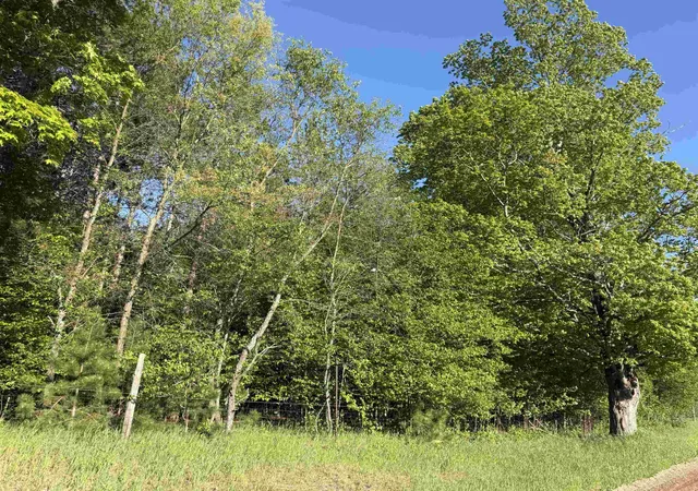 5th image of Acreage-40 Cedar Creek Rd, Fife Lake, MI 49633 | MLS# 78080068928