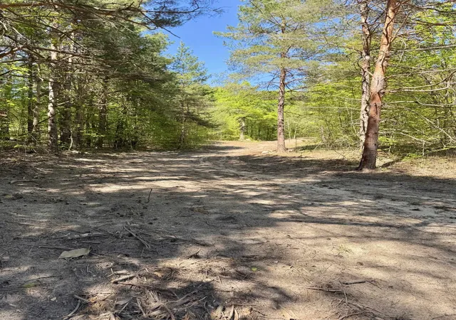 3rd image of 3779 Scholl Rd, Mancelona, MI 49659 | MLS# 78080068948