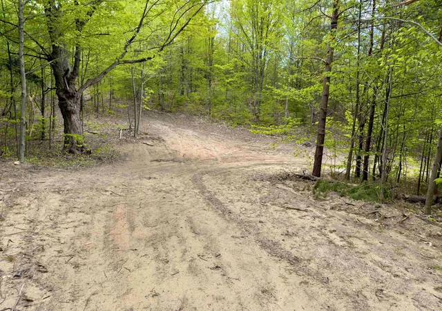 5th image of 3779 Scholl Rd, Mancelona, MI 49659 | MLS# 78080068948