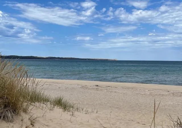 Homes for sale in Traverse City, MI | 1h Fish House, Traverse City, MI 49684 | MLS# 78080068949