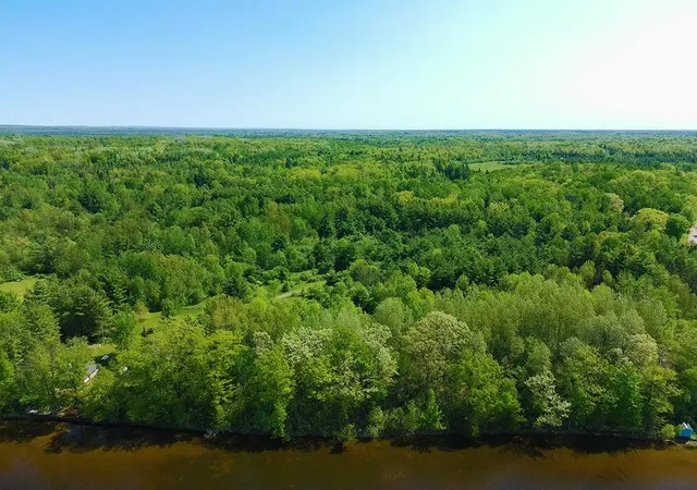 16th image of V/l Bass Lake Rd, Hill Township Ogemaw, MI 48635 | MLS# 77080068958
