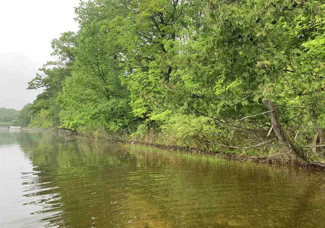 2nd image of V/l Bass Lake Rd, Hill Township Ogemaw, MI 48635 | MLS# 77080068958