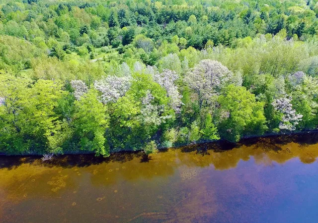 3rd image of V/L Bass Lake Rd, Hill Township Ogemaw, MI 48635 | MLS# 77080068958