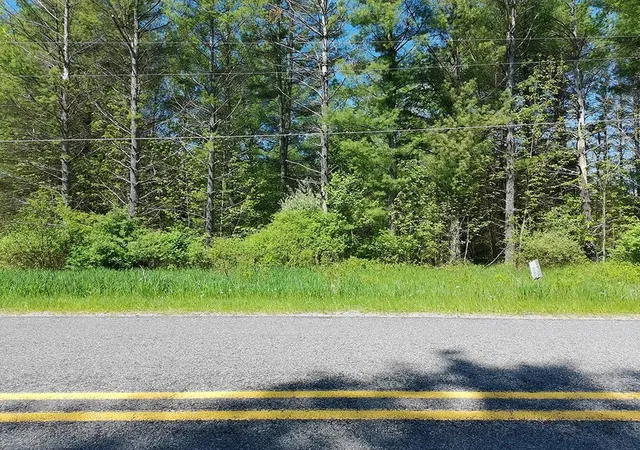 4th image of V/L Bass Lake Rd, Hill Township Ogemaw, MI 48635 | MLS# 77080068958