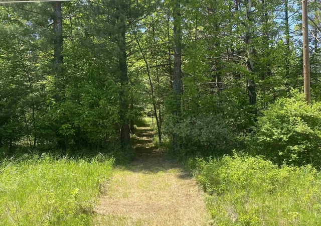 5th image of V/L Bass Lake Rd, Hill Township Ogemaw, MI 48635 | MLS# 77080068958