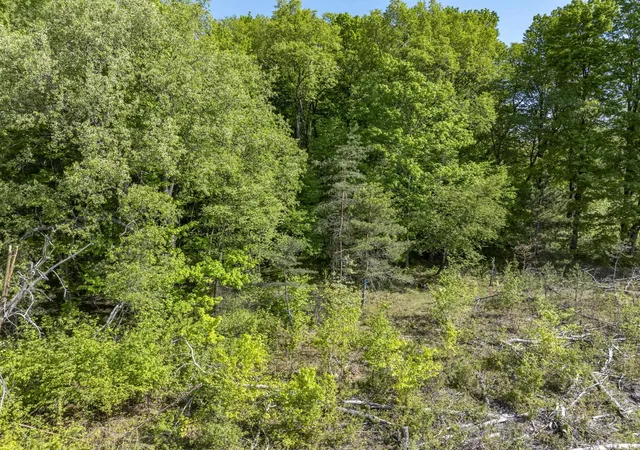 4th image of 00 M-37, Mesick, MI 49668 | MLS# 78080068991