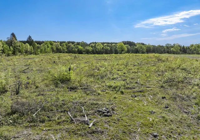 5th image of 00 M-37, Mesick, MI 49668 | MLS# 78080068991
