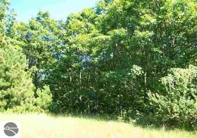 11th image of Lot 6 Torch Hills Ln, Bellaire, MI 49615 | MLS# 78080068994
