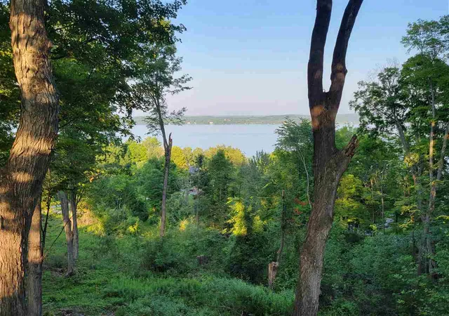 1st image of Lot 6 Torch Hills Ln, Bellaire, MI 49615 | MLS# 78080068994