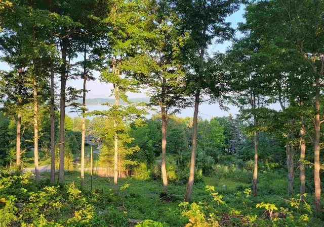 2nd image of Lot 6 Torch Hills Ln, Bellaire, MI 49615 | MLS# 78080068994