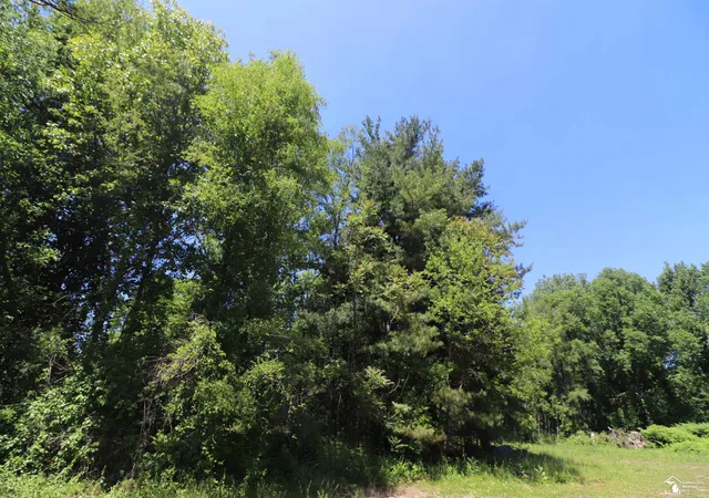 Photo 3 of Land for sale at 2630 W Temperance Rd, Temperance, MI 48182 | MLS# 57050209519 | Listing updated on 2026-06-01