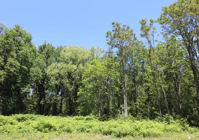 Photo 3 of Land for sale at 2630 W Temperance Rd, Temperance, MI 48182 | MLS# 57050209519 | Listing updated on 2026-06-01