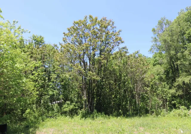 Photo 4 of Land for sale at 2630 W Temperance Rd, Temperance, MI 48182 | MLS# 57050209519 | Listing updated on 2026-06-01