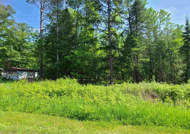 Homes for sale in Millen Township Alcona, MI | 1281 W Trask Lake Rd, Millen Township Alcona, MI 48705 | MLS# 77080069007