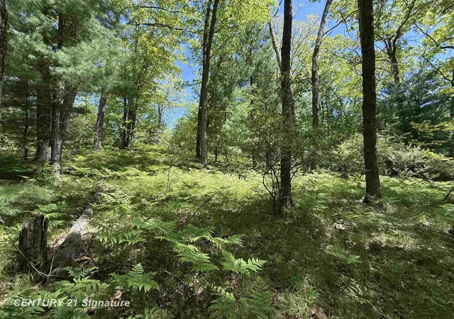 Photo 1 of Land for sale at 981 E Cranberry Lake Rd, Harrison, MI 48625 | MLS# 61050209536 | Listing updated on 2026-05-30