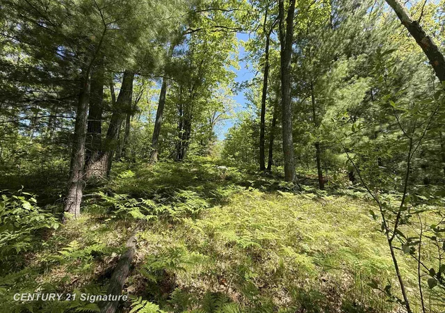 Photo 2 of Land for sale at 981 E Cranberry Lake Rd, Harrison, MI 48625 | MLS# 61050209536 | Listing updated on 2026-05-30