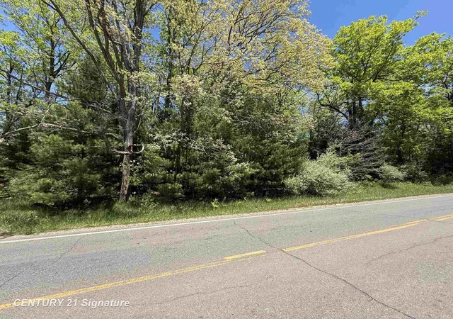 Photo 3 of Land for sale at 981 E Cranberry Lake Rd, Harrison, MI 48625 | MLS# 61050209536 | Listing updated on 2026-05-30