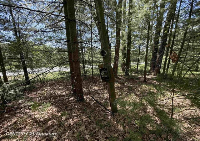 Photo 3 of Land for sale at 981 E Cranberry Lake Rd, Harrison, MI 48625 | MLS# 61050209536 | Listing updated on 2026-05-30