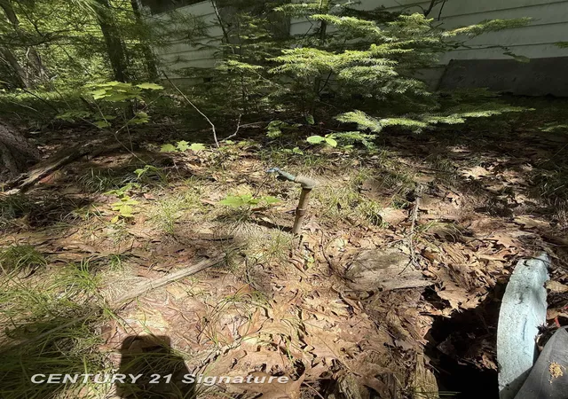 Photo 4 of Land for sale at 981 E Cranberry Lake Rd, Harrison, MI 48625 | MLS# 61050209536 | Listing updated on 2026-05-30