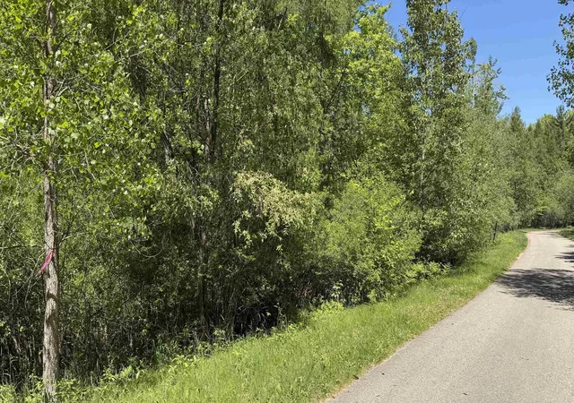 Photo 2 of Land for sale at Tbd W Lake George Dr, Lincoln Township Clare, MI 48632 | MLS# 79080069010 | Listing updated on 2026-06-12