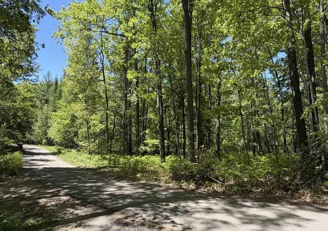 Photo 3 of Land for sale at Tbd W Lake George Dr, Lincoln Township Clare, MI 48632 | MLS# 79080069010 | Listing updated on 2026-06-12