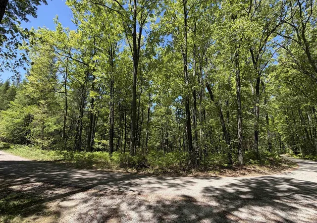 Photo 3 of Land for sale at Tbd W Lake George Dr, Lincoln Township Clare, MI 48632 | MLS# 79080069010 | Listing updated on 2026-06-12